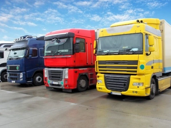 İzmir Kiğı Nakliye